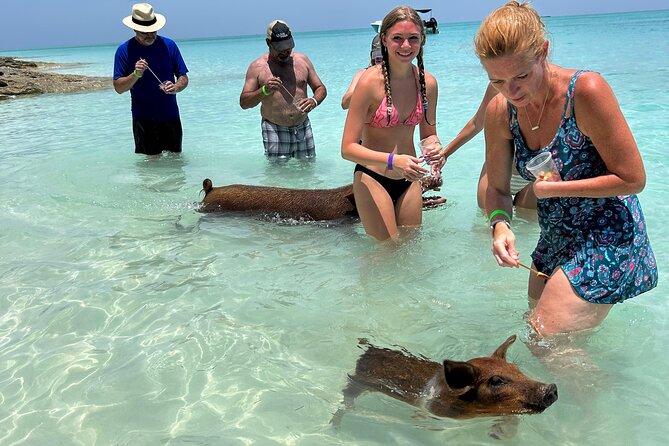 007 Private Beach Club -Swimming Pigs, Snorkeling, Lunch, Drinks - Key things to know before you book