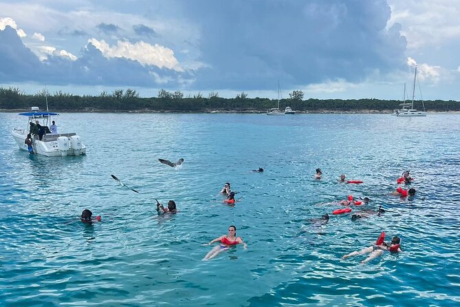 007 Private Beach Club -Swimming Pigs, Snorkeling, Lunch, Drinks - Is $149 a fair price?