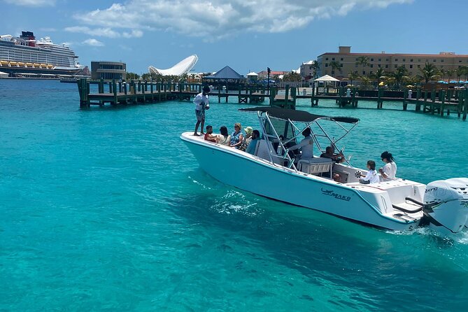 3 Islands Private Group Excursion (4hrs) - The pig stop and the extra $25 decision