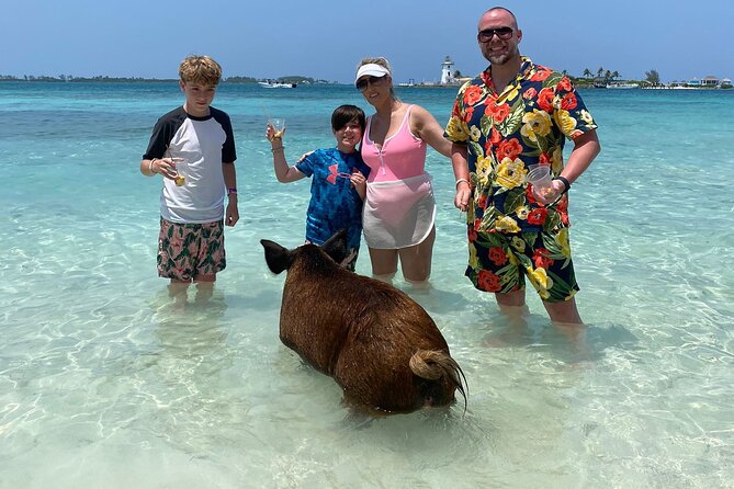 3 Islands Private Group Excursion (4hrs) - Swimming with turtles near the private islands