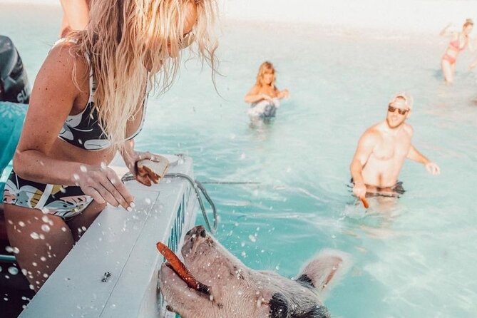 3 Islands Tour, Swim with Pigs, Turtles, Snorkelling & lunch - Green Turtle Cay and the search for sea turtles