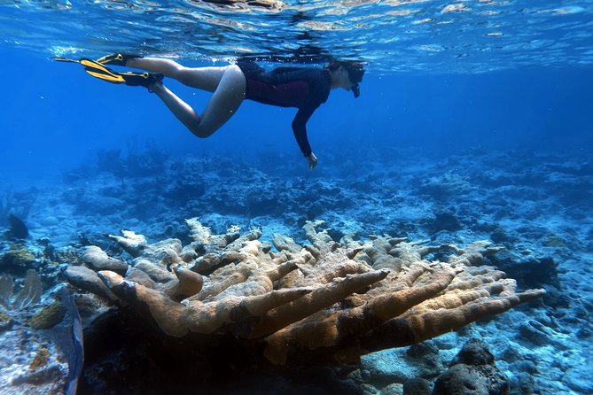4 Days, 3 Nights Sailing Catamaran Experience in the Exumas, Bahamas - Days two and three: reefs, caves, sandbars, and small islands