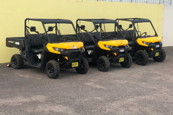 4-Hour Buggy Tour of New Providence (Inclusive of water & local deserts) - What makes this New Providence tour worth a look