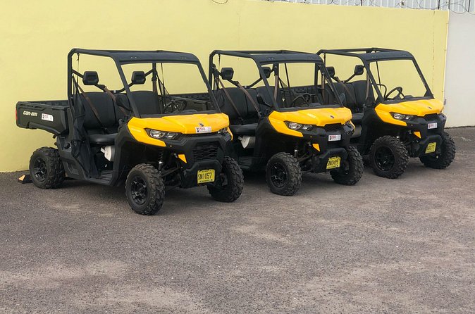 4-Hour Buggy Tour of New Providence (Inclusive of water & local deserts) - Graycliff’s cigar, wine, and chocolate stop