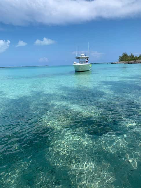 4 hour Fishing or Snorkeling - Cancellation and Booking Flexibility