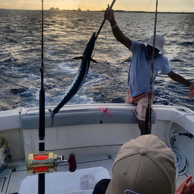 4 hour Fishing or Snorkeling - Choosing Your Four-Hour Nassau Water Adventure
