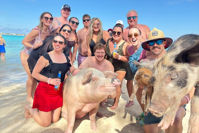 4-Island Tour Swimming Pigs, turtles, snorkeling , rose island, - What this Nassau boat trip is really trying to do