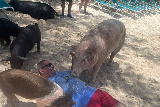 4hr Private Tour Island Hop Snorkel w/ Turtles & Sip Bahama Mamas - A Four-Hour Schedule That Needs Clarifying