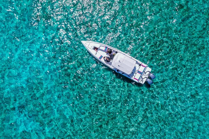 5 Hours Pigs and Turtles with Beach Stop in Bahamas - Key points to know before booking