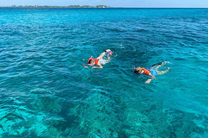 5 Hours Pigs and Turtles with Beach Stop in Bahamas - Why this five-hour outing has real appeal