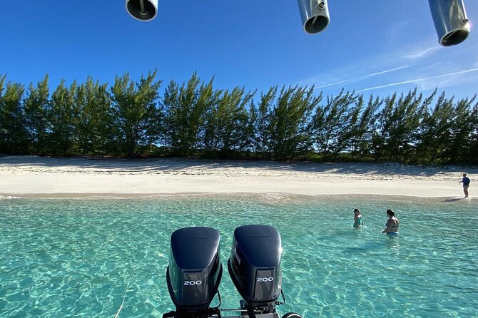 5 Hours Pigs and Turtles with Beach Stop in Bahamas - Rose Island: snorkeling, turtles, and lunch