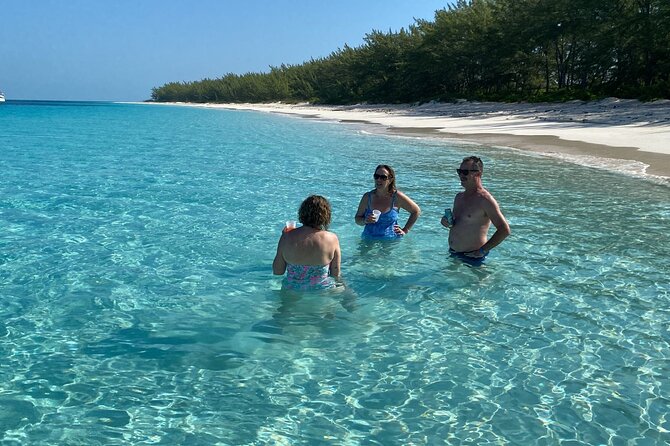 5 Hours Pigs and Turtles with Beach Stop in Bahamas - What the small group changes