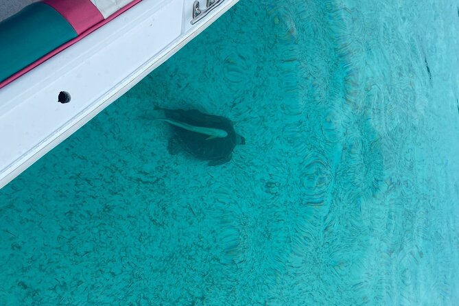 5 Hours Pigs and Turtles with Beach Stop in Bahamas - Weather, comfort, and physical effort