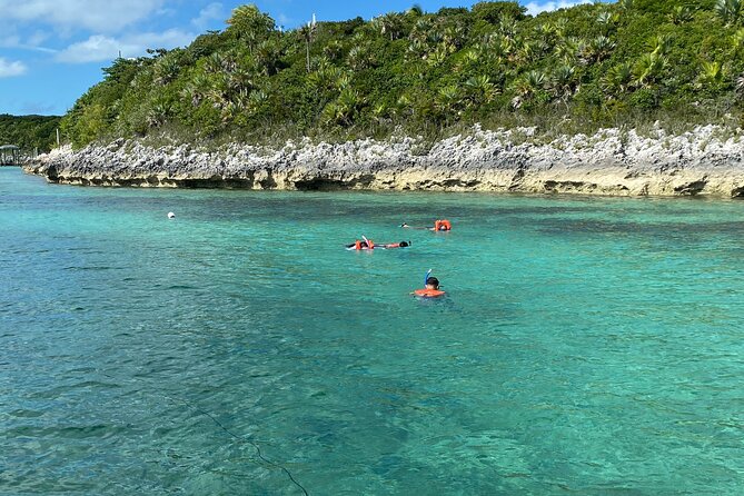 5 Hours Pigs and Turtles with Beach Stop in Bahamas - Atholl Island and the famous pigs