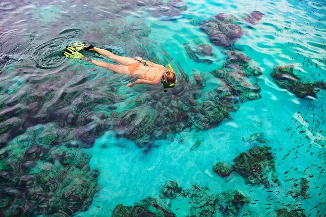 6 Hours Rose Island Tour with Snorkeling Experience and Lunch - Athol Island brings the first snorkeling stop