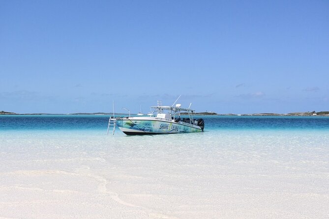 6 Hours Rose Island Tour with Snorkeling Experience and Lunch - Pearl Island and the iguana encounter
