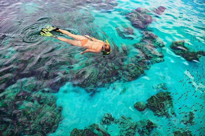 6 Hours Rose Island Tour with Snorkeling Experience and Lunch - Lunch at The Hideaway Floating Bar and Grill