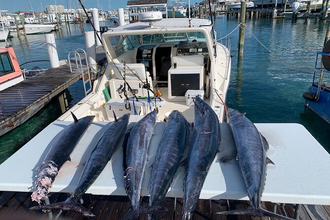 8 hours 38ft Reel Dreams Private Charter Nassau - Snorkeling and beach time add welcome variety