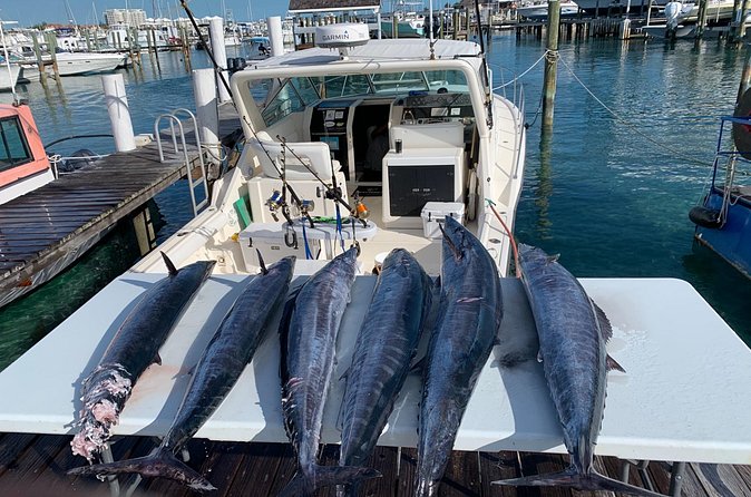 8 hours 38ft Reel Dreams Private Charter Nassau - Is $1,980 good value?