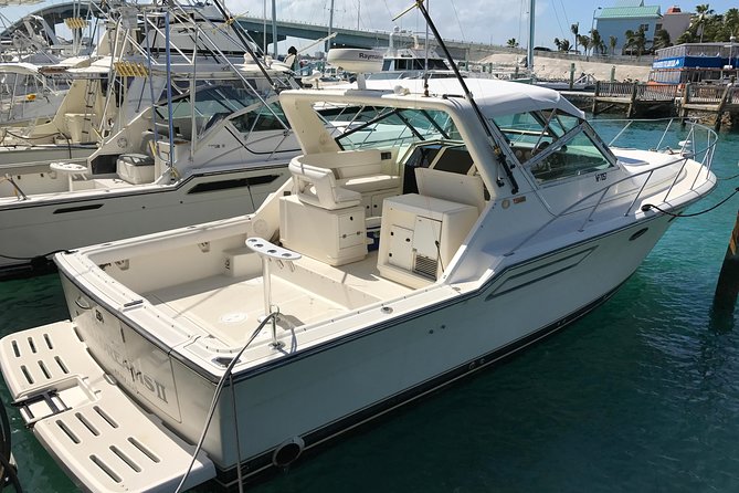 8 hours 38ft Reel Dreams Private Charter Nassau - Choosing between offshore and light-tackle fishing