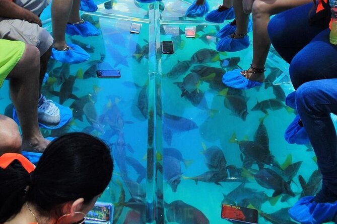 Adventures of the Lost Atlantis Bimini Road - Is $180 a fair price for two hours?