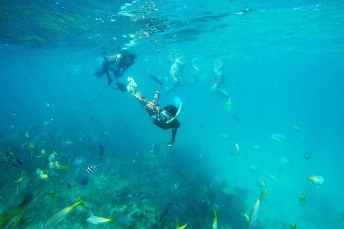 All Inclusive Half Day Sail and Snorkel - Leaving Paradise Island for Open Water