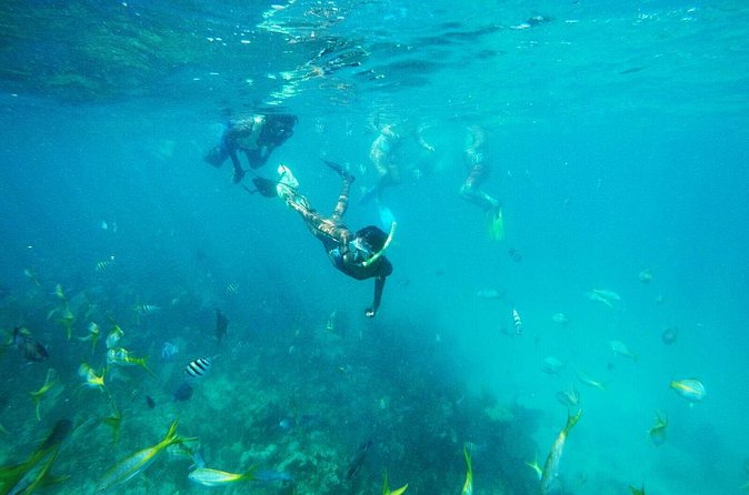 All Inclusive Half Day Sail and Snorkel - Who Will Enjoy This Sail Most?
