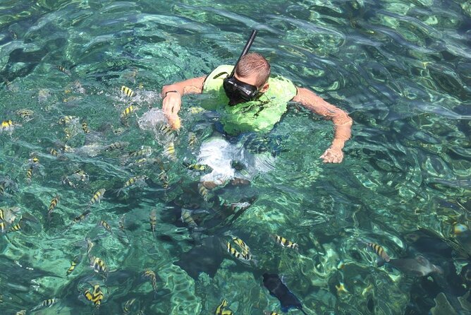 All Inclusive Half Day Sail and Snorkel - Snorkeling for Beginners and Confident Swimmers