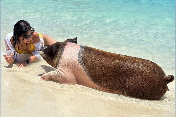 All Inclusive Pig Encounter, Snorkeling, Turtles, Lunch & Beach - Lunch, drinks, and what all-inclusive means here