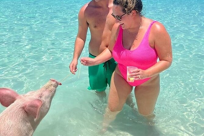 All Inclusive Pig Encounter, Snorkeling, Turtles, Lunch & Beach - The crew, boat, and group size
