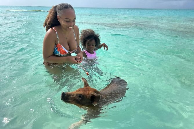 All Inclusive Pig Encounter, Snorkeling, Turtles, Lunch & Beach - Who will enjoy this Nassau excursion