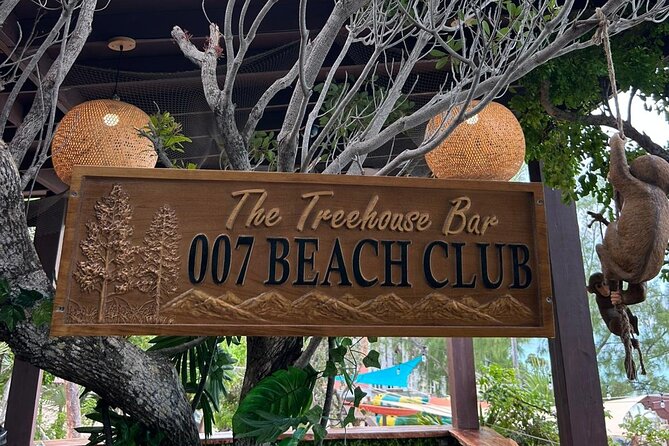 All Inclusive Pig Encounter, Snorkeling, Turtles, Lunch & Beach - Green Cay and the turtle encounter