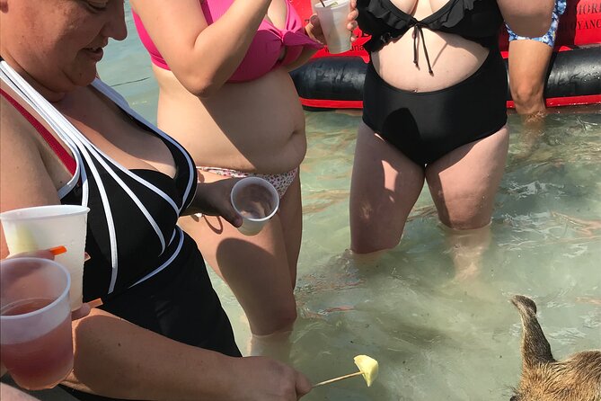 All Inclusive Swimming With The Pigs - Drinks, snacks, and the Cocktails N Dreams approach
