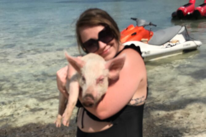 All Inclusive Swimming With The Pigs - Why the small group and guide can change the day