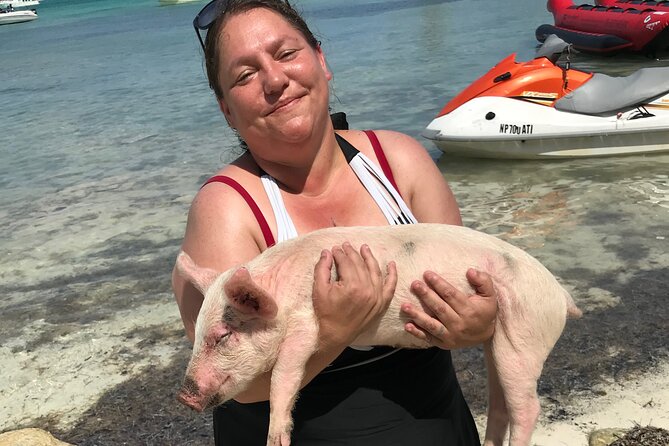 All Inclusive Swimming With The Pigs - Price and what the $150 covers
