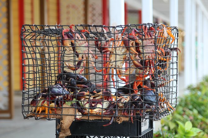 Around Town/Bahamian Cooking Experience - Farmers Market, Settlements, and Bahamian Baked Goods