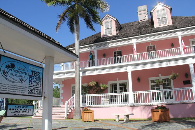 Around Town/Bahamian Cooking Experience - The Main Event: Making Bahamian Conch Fritters