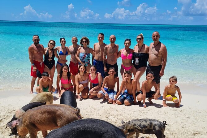 Athol Island Swimming Pigs Half-Day Boat Tour with Lunch - Key points before you book