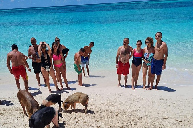Athol Island Swimming Pigs Half-Day Boat Tour with Lunch - The crew can make the difference