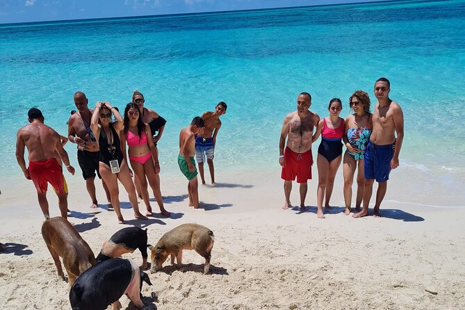 Athol Island Swimming Pigs Half-Day Boat Tour with Lunch - What can go wrong on a rough day