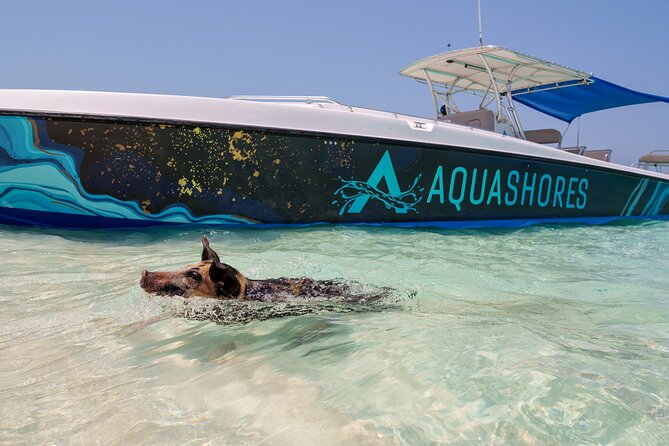 Bahamas Adventure: Pigs, Reef, Turtles, and Beach with Lunch - Sandy Cay, the tiny island known as Gilligan’s Island