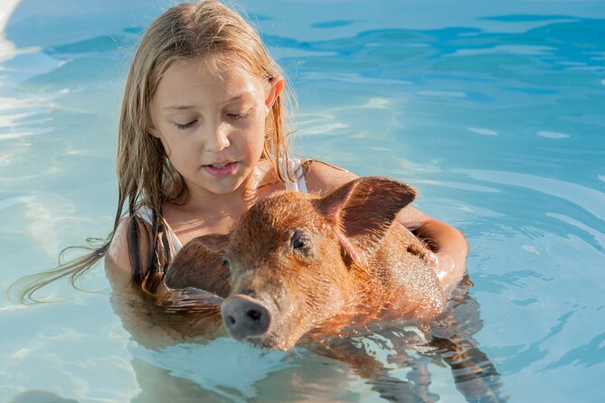 Bahamas Adventure: Pigs, Reef, Turtles, and Beach with Lunch - What the $299 price really covers