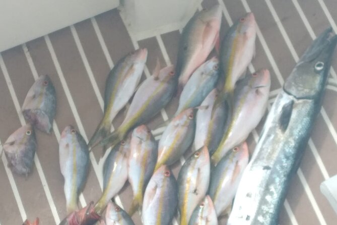 Bahamas Deep Sea Fishing - Bottom fishing over the anchored boat