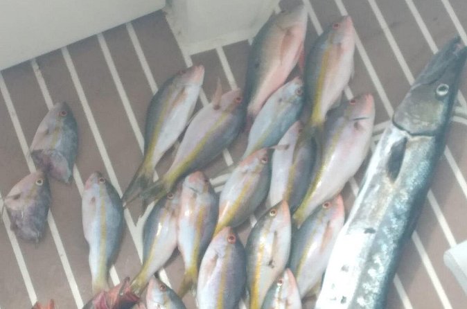 Bahamas Deep Sea Fishing - October through February: trolling for wahoo