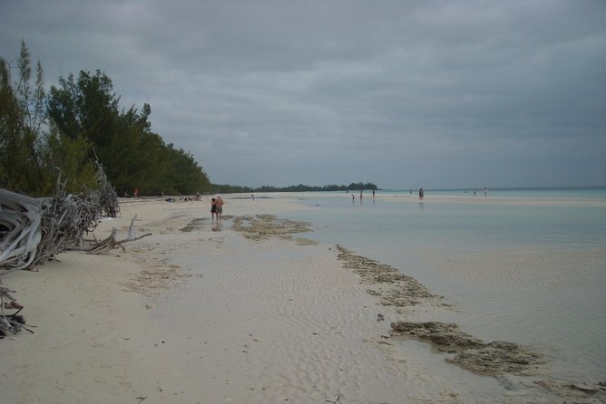 Bahamas Get-A-Round Bus Pass - Air conditioning and the comfort factor