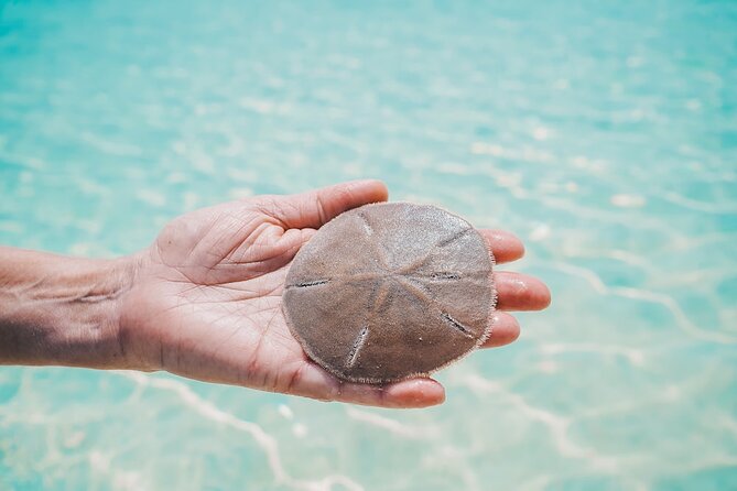 Bahamas Local Water Tours to George Town and Exuma - Hooper’s Bay and the turtle encounter