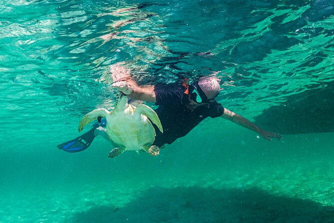 Bahamas Local Water Tours to George Town and Exuma - Is $175 a fair price?