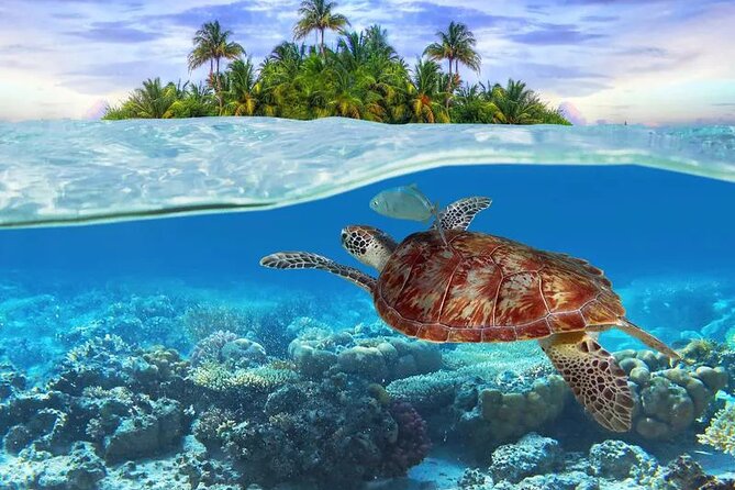 Bahamas Local Water Tours to George Town and Exuma - Sand Dollar Beach: a slow first stop on Stocking Island