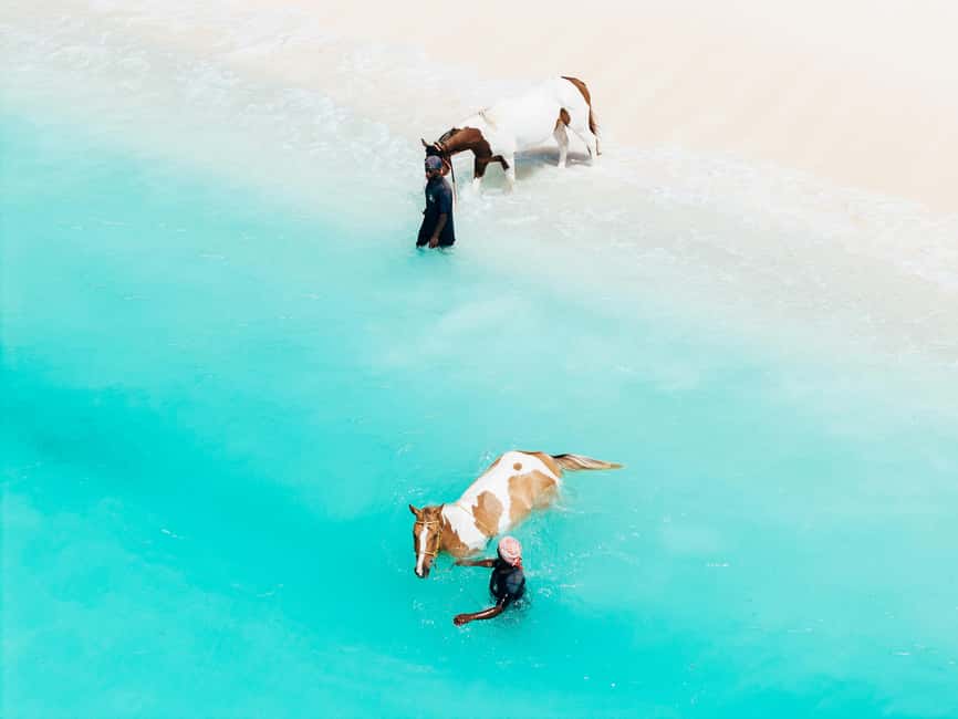 Bahamas: Nassau Horseback Riding on Beaches & Trails - Key points to know before you book
