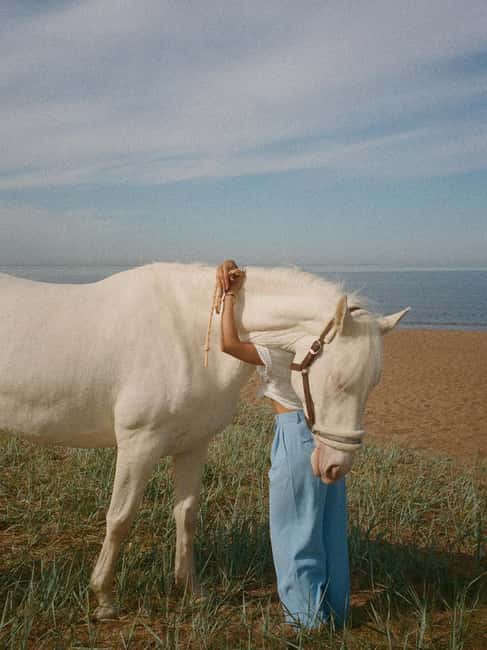 Bahamas: Nassau Horseback Riding on Beaches & Trails - Is two hours enough for this price?